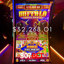 Experiência VIP 307bet