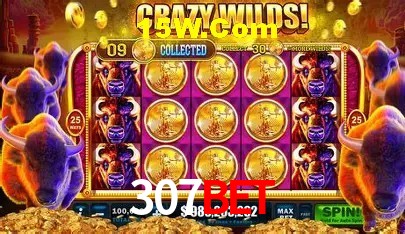 307bet Salvador - Football