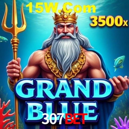307bet Rio de Janeiro - Bonus Terms