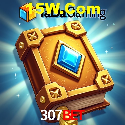 Interface Premium 307bet